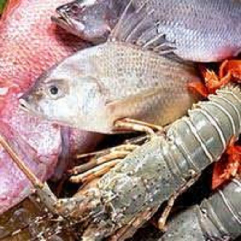 Frozen-Foods3-768x768